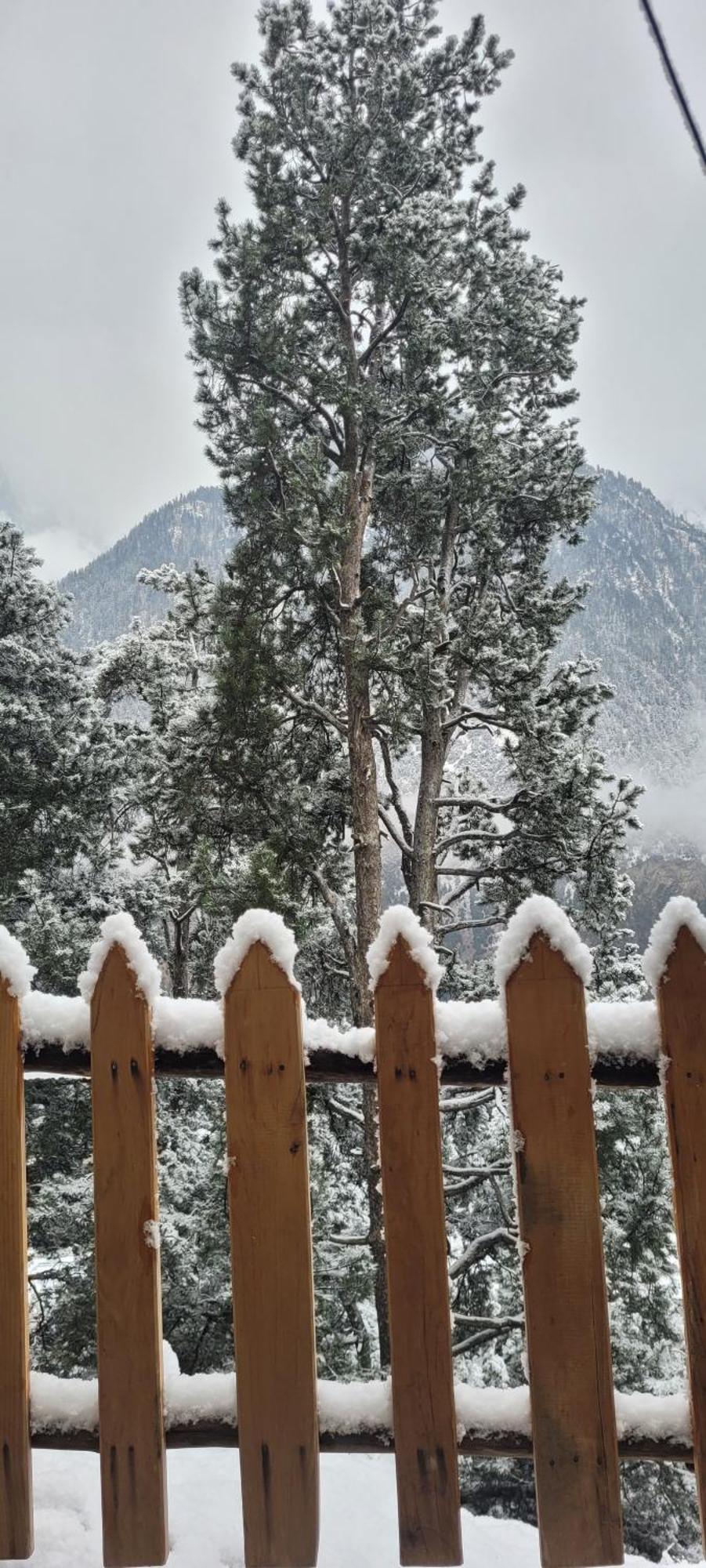 Rudra Homestays Кальпа Экстерьер фото